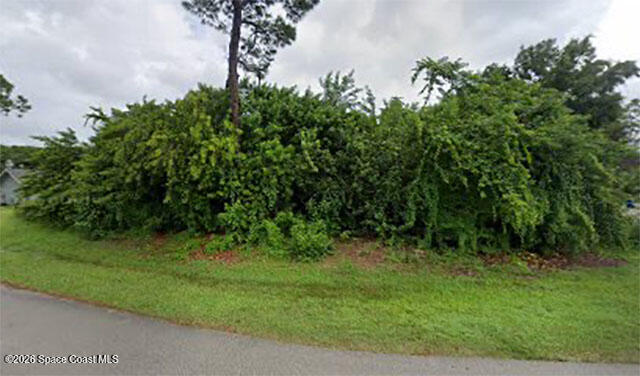 411 Firestone Street Ne, Palm Bay, Fl 32907, FL