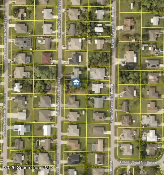 455 Cellini Avenue Ne, Palm Bay, Fl 32907, FL