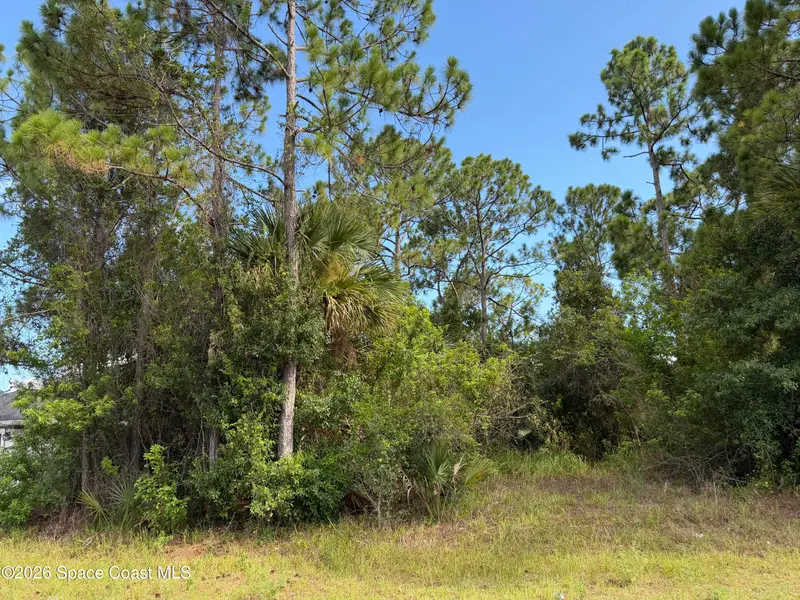 798 Altamira Street Nw, Palm Bay, Fl 32907, FL