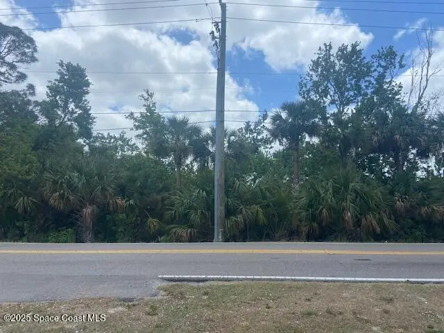 Tbd Canaveral Groves Blvd Boulevard, Cocoa, Fl 32926, FL
