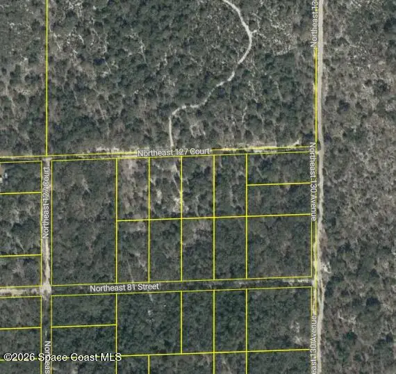 0000 Ne 82nd Place, Bronson, Fl 32621, FL
