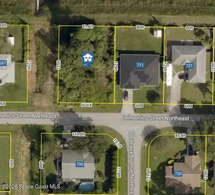 701 Delmonico Street Ne, Palm Bay, Fl 32907, FL