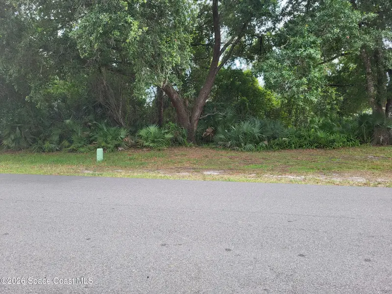 942 Pyracantha Street Nw, Palm Bay, Fl 32907, FL
