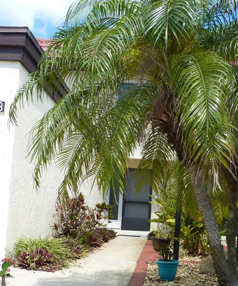 8718 Bay Court, Cape Canaveral, Fl 32920, FL