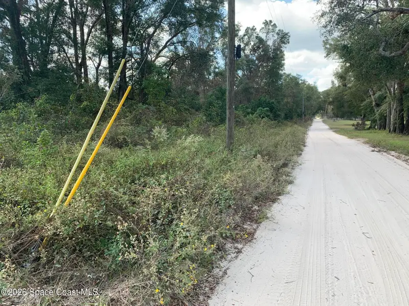 0 Co Rd 337, Bell, Fl 32619, FL