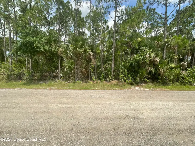 1266 Landau Road Sw, Palm Bay, Fl 32908, FL