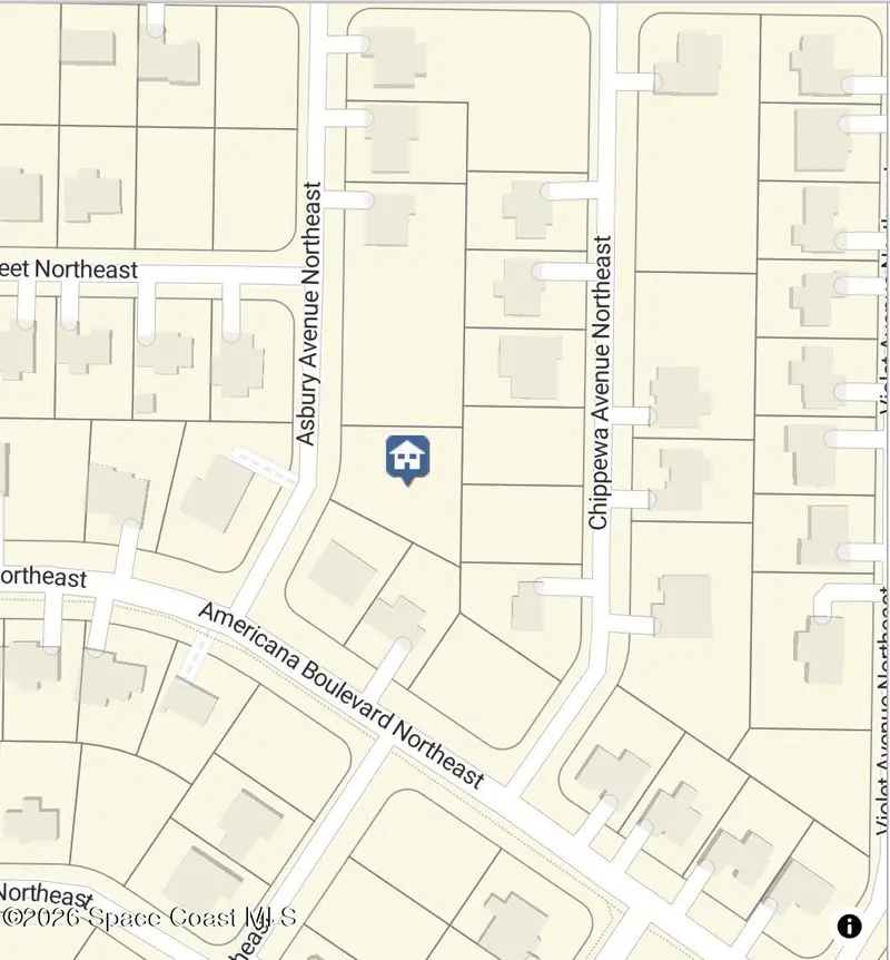 517 Asbury Avenue Ne, FL