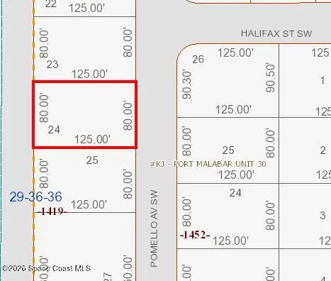 3294 Pomello Avenue Sw, FL
