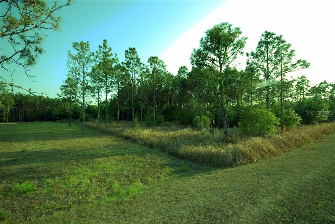 30150 Overpass Road, FL