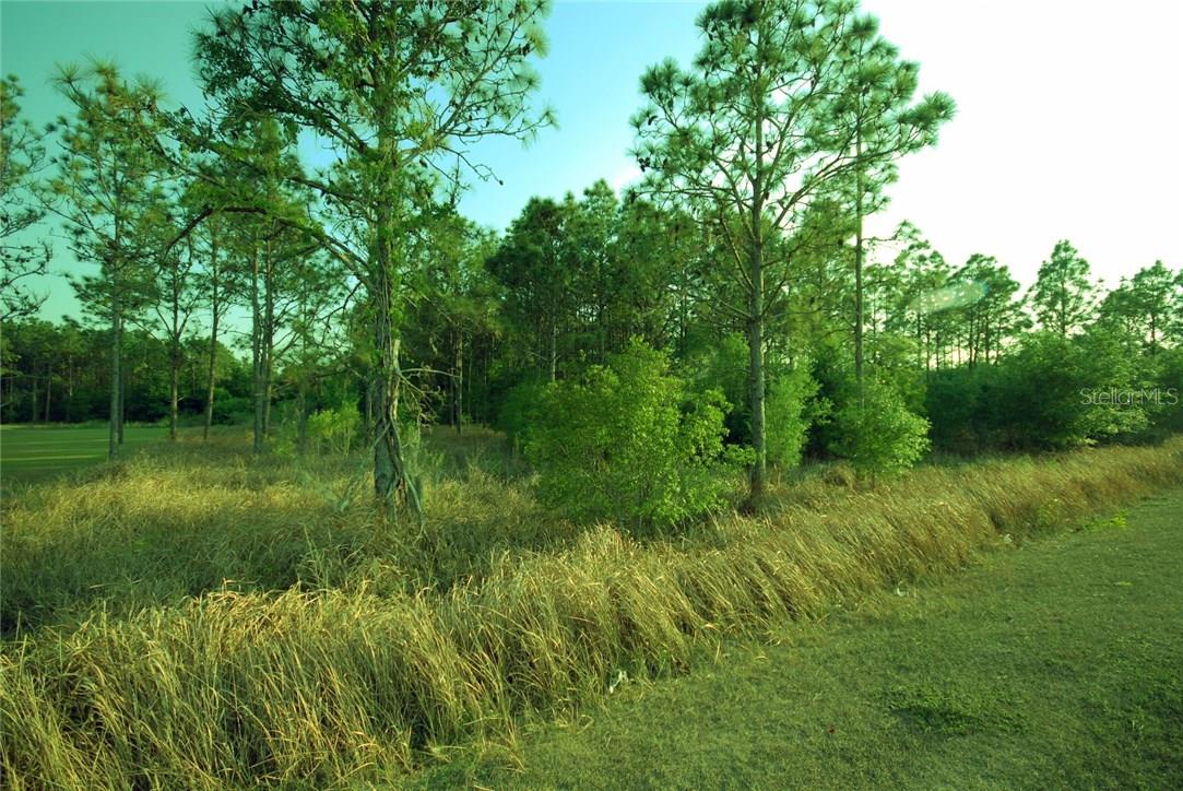 30150 Overpass Road, FL