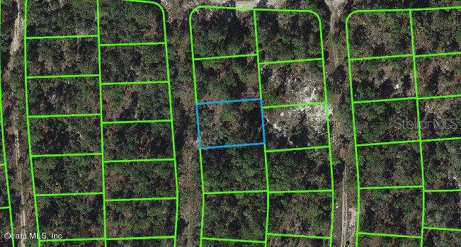 269 Suwannee Drive, FL