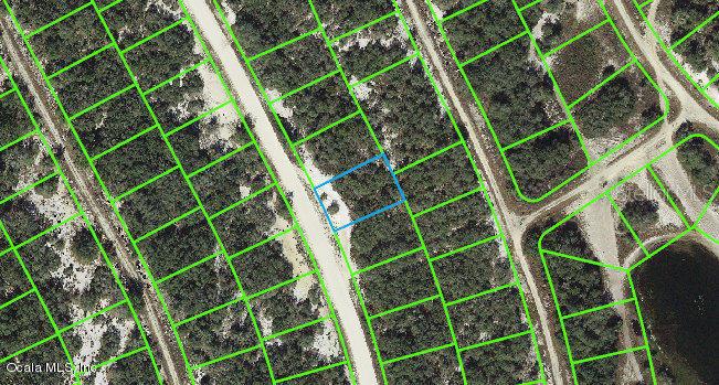 217 Hopedale Drive, FL