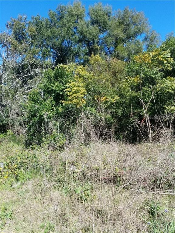 5 Lenox Court, FL