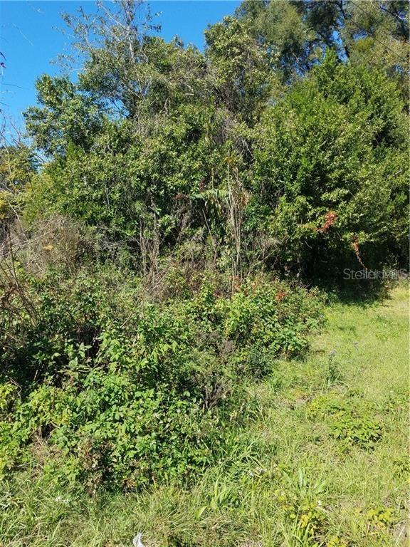 5 Lenox Court, FL