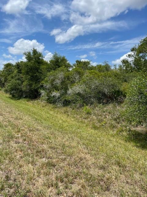 33514, 33522,33528 Washington Loop Road, FL
