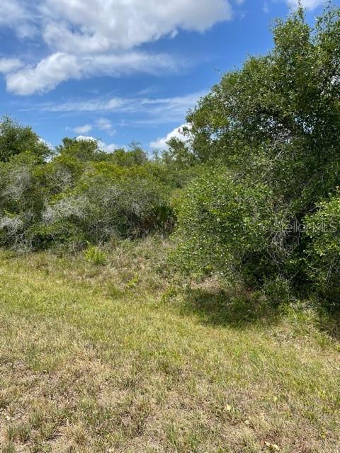 33514, 33522,33528 Washington Loop Road, FL