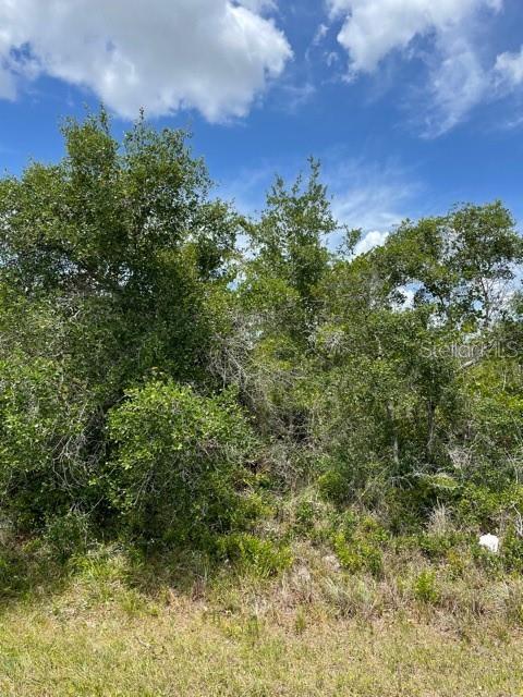 33514, 33522,33528 Washington Loop Road, FL