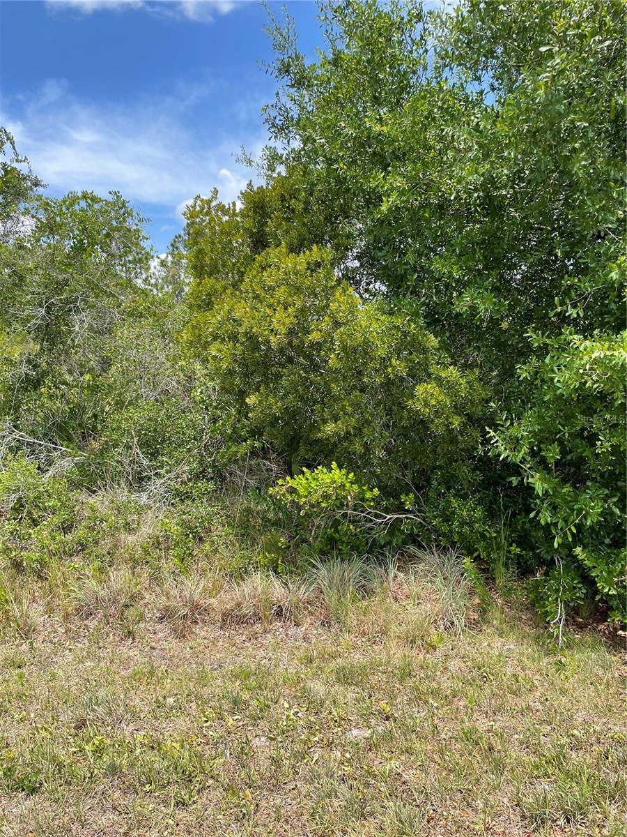 33514, 33522,33528 Washington Loop Road, FL