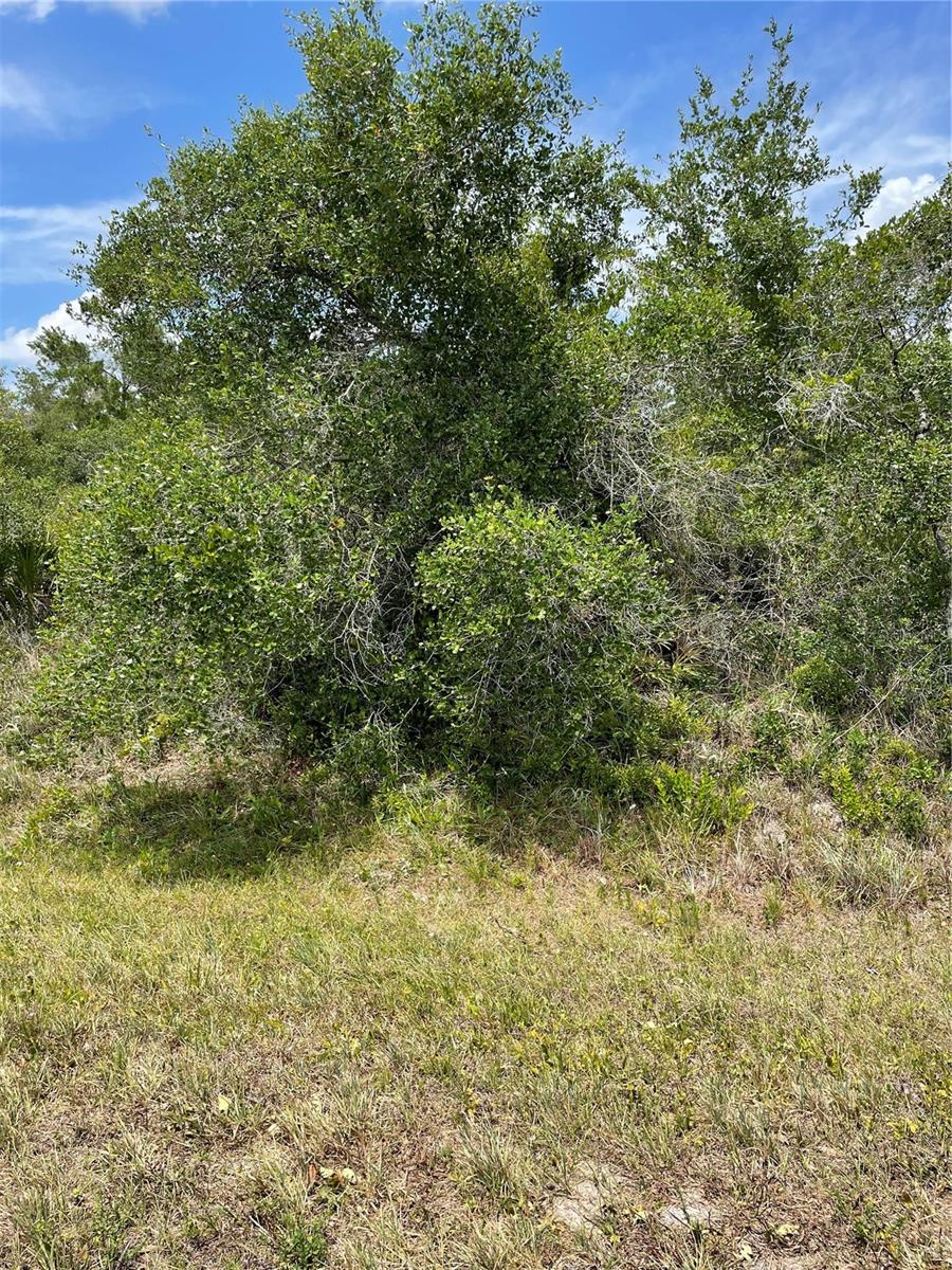 33514, 33522,33528 Washington Loop Road, FL