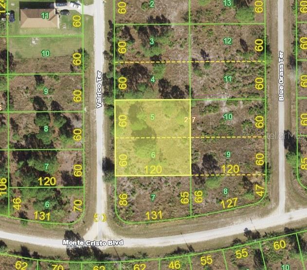 13288 Valrico Terrace, FL
