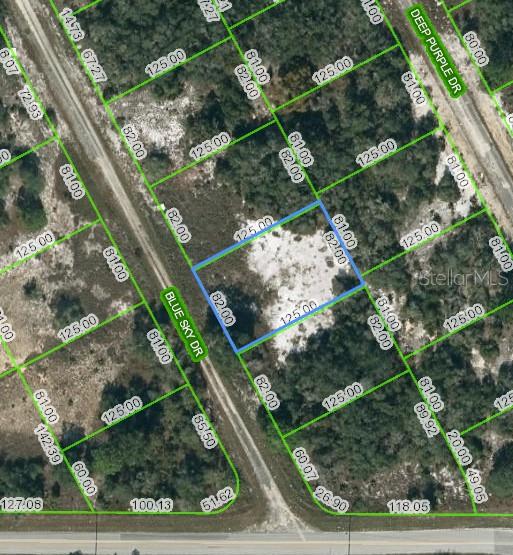 205 Blue Sky Drive, FL