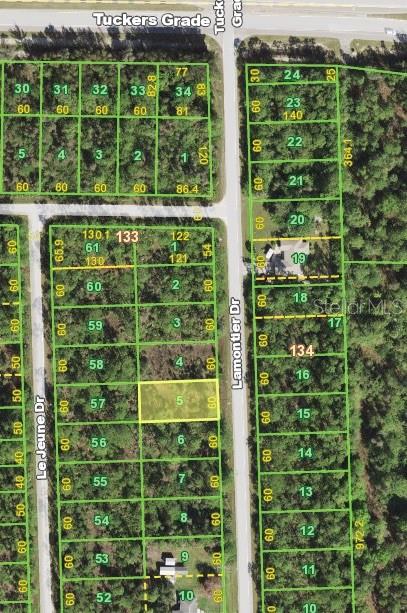 12061 Lamontier Drive, FL