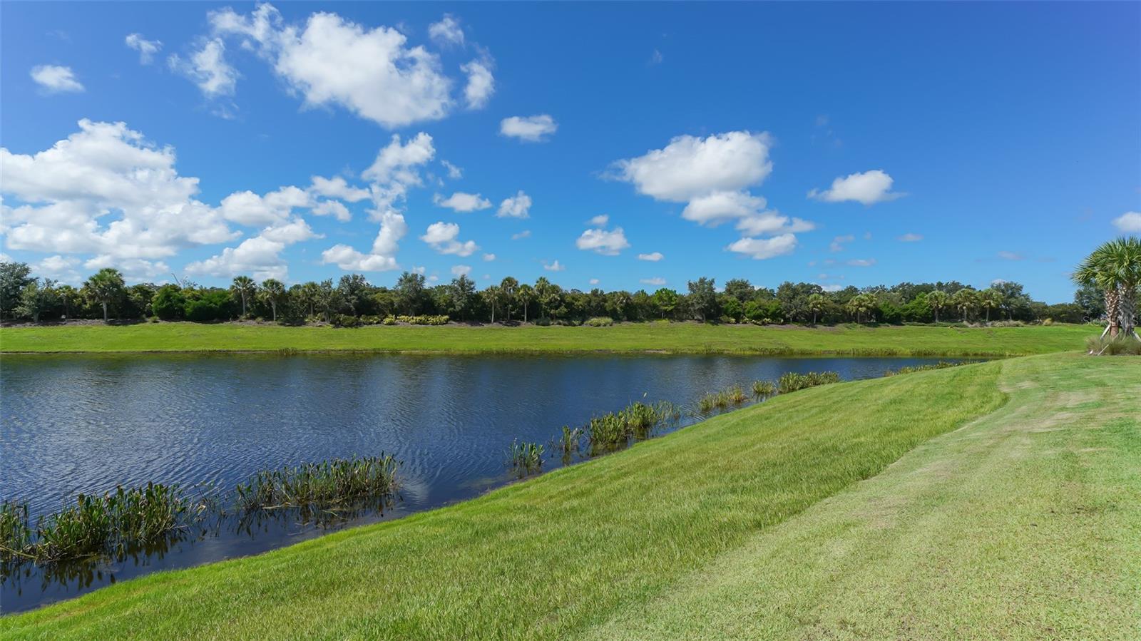 13720 Messina Loop, FL