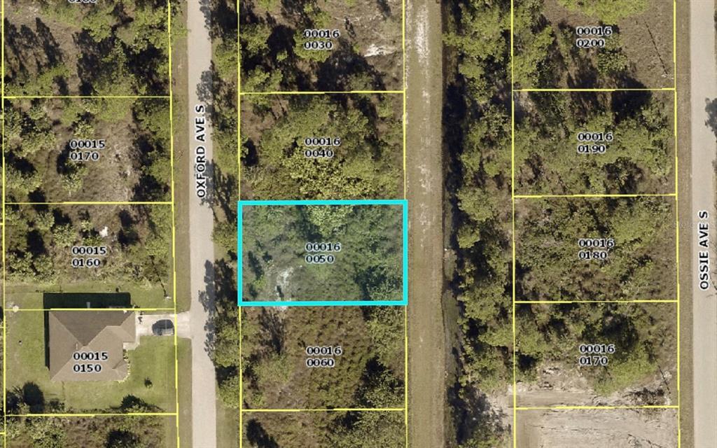 917 Oxford Avenue, FL