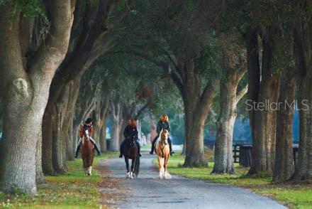 0 8th Avenue, FL