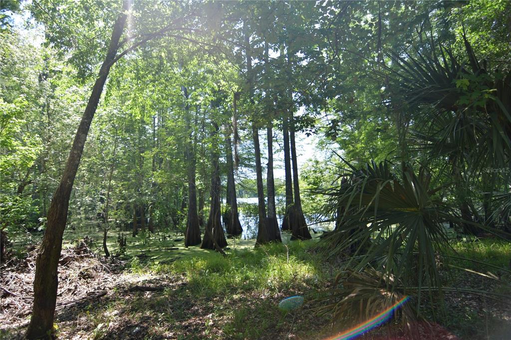 64th Avenue, FL