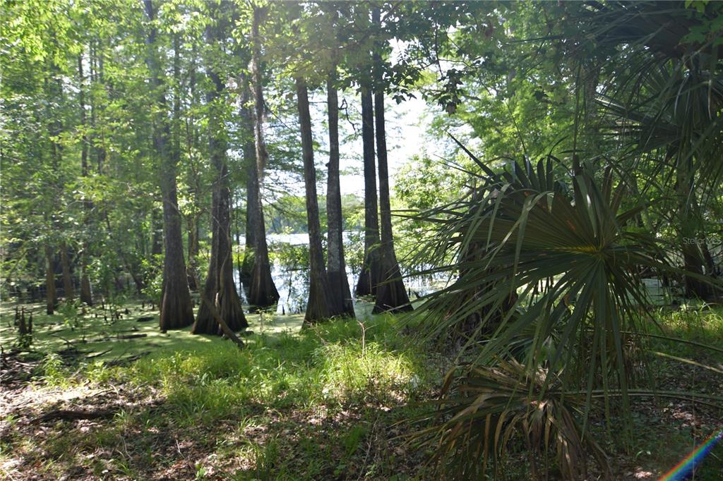 64th Avenue, FL