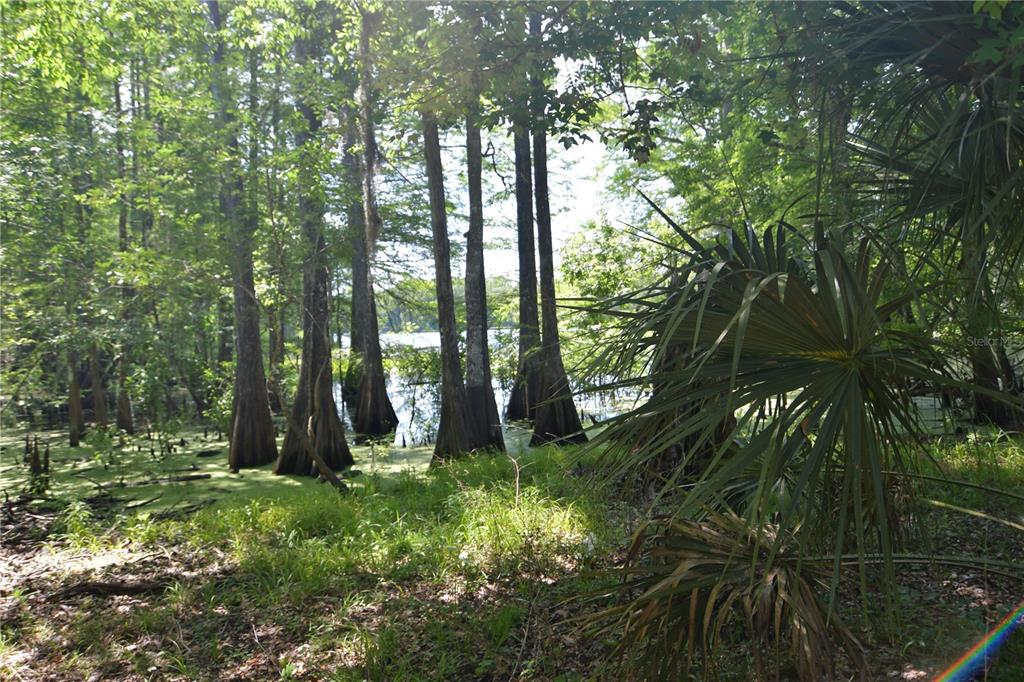64th Avenue, FL