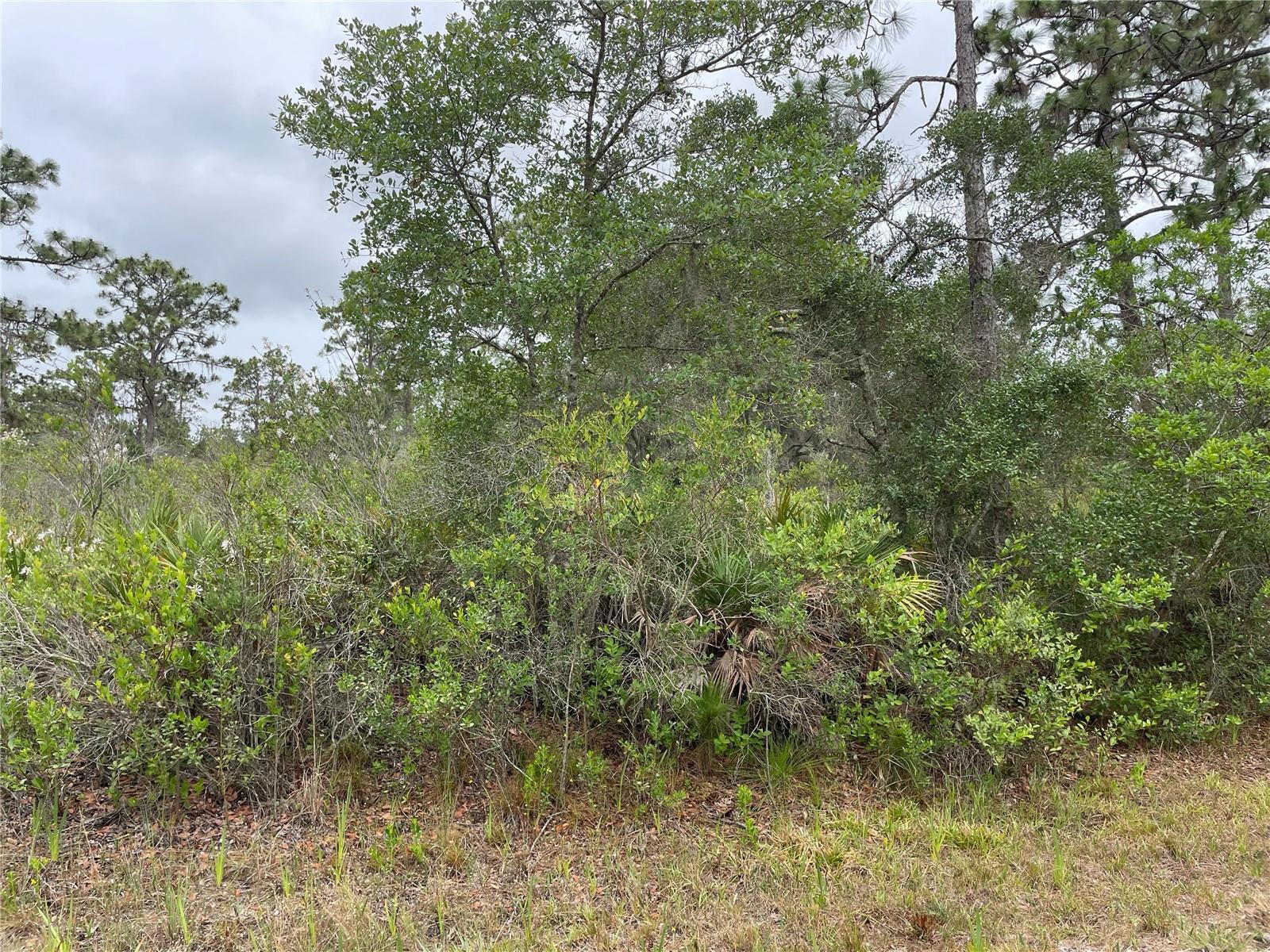 0 Bougainvillea Drive, FL