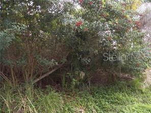 Geneva Road, FL