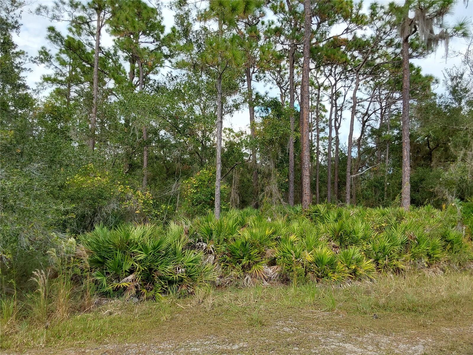Lot 29 Shore Drive, FL