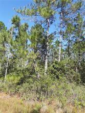 Fork Ranch Drive, FL