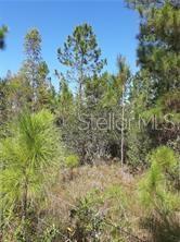 Salyers Road, FL