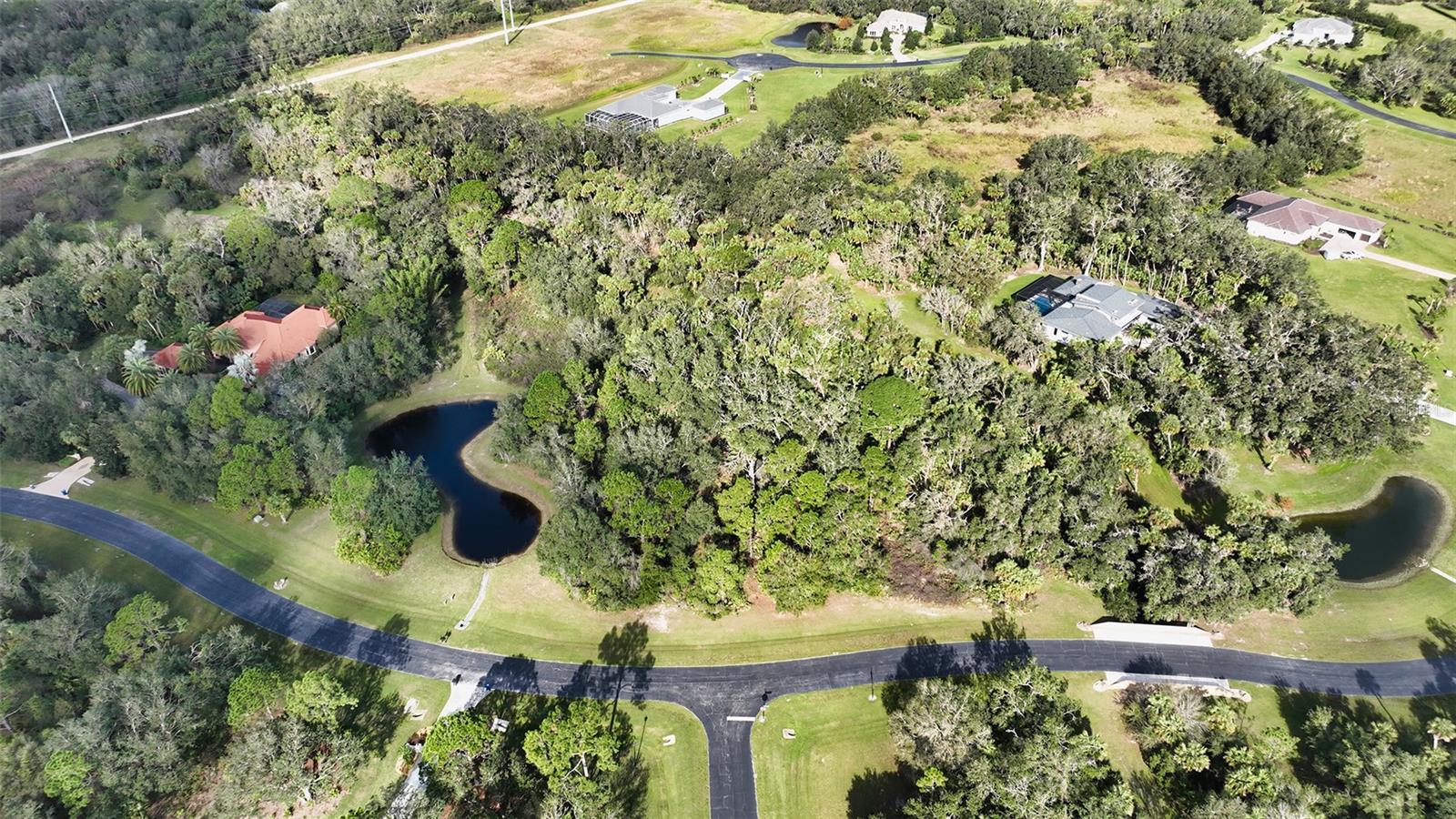 9255 Swaying Branch Road, FL