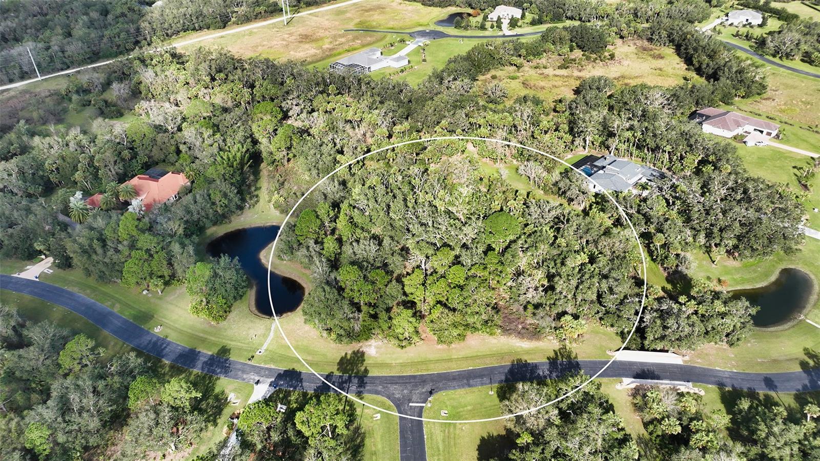 9255 Swaying Branch Road, FL