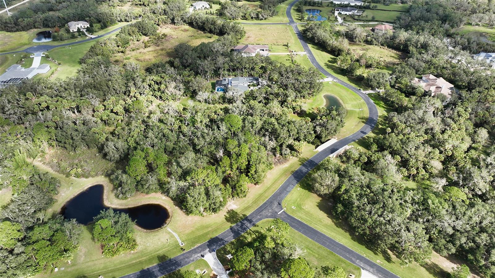 9255 Swaying Branch Road, FL