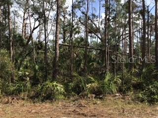 Lolly Road, FL