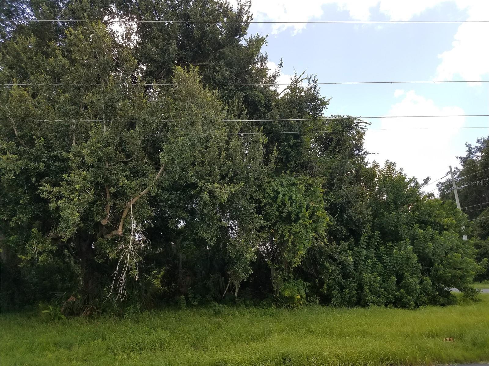 KISSIMMEE, FL