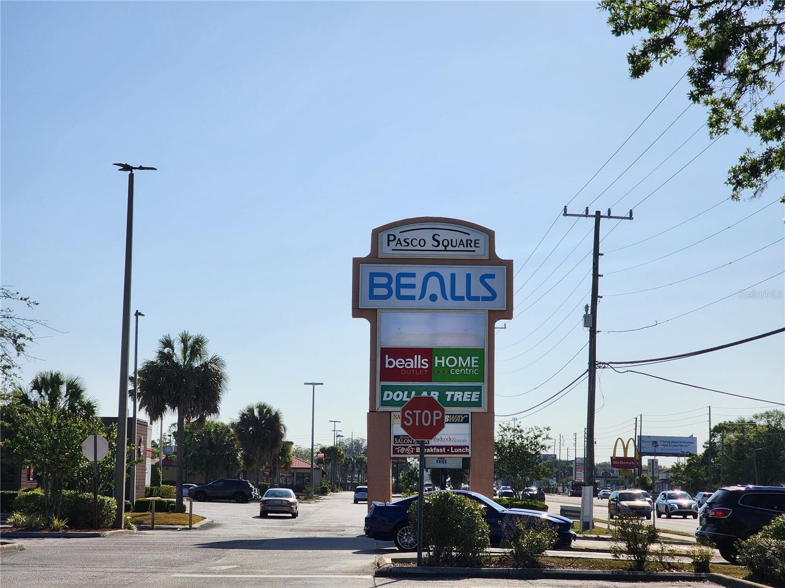 Sr 54, FL