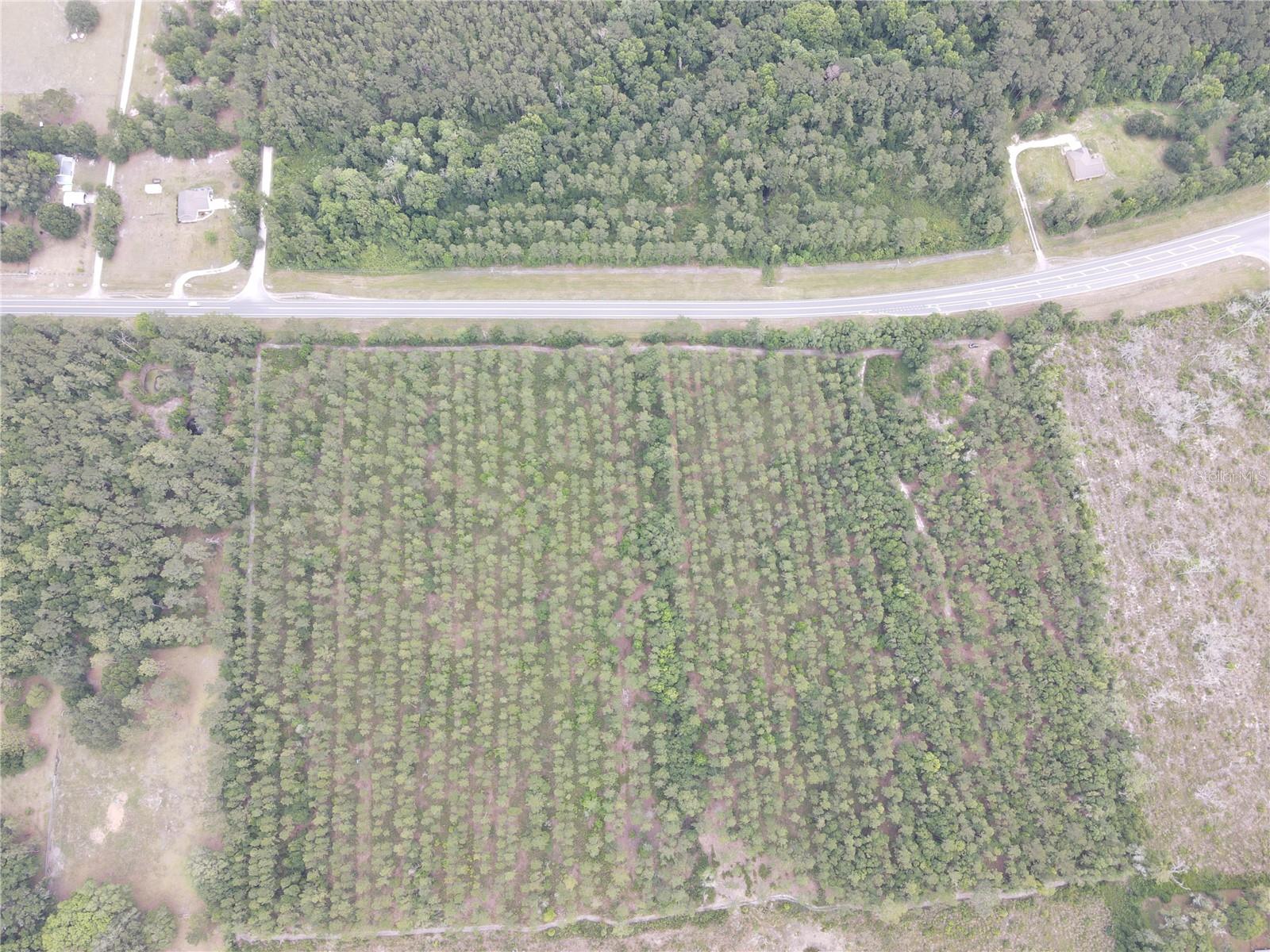 Tbd State Road 121, FL