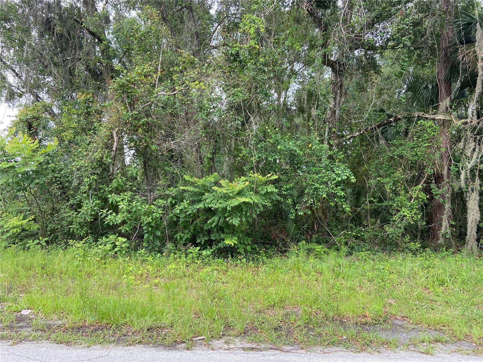 Wilson Avenue, FL