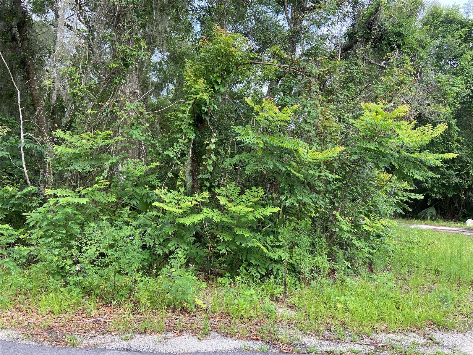 Wilson Avenue, FL