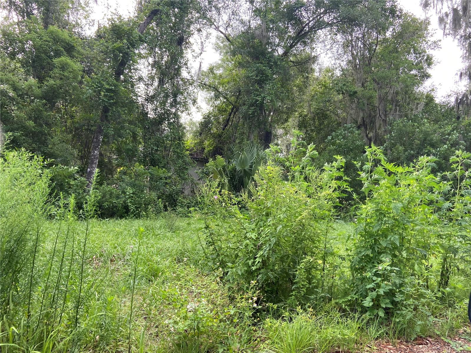 Wilson Avenue, FL