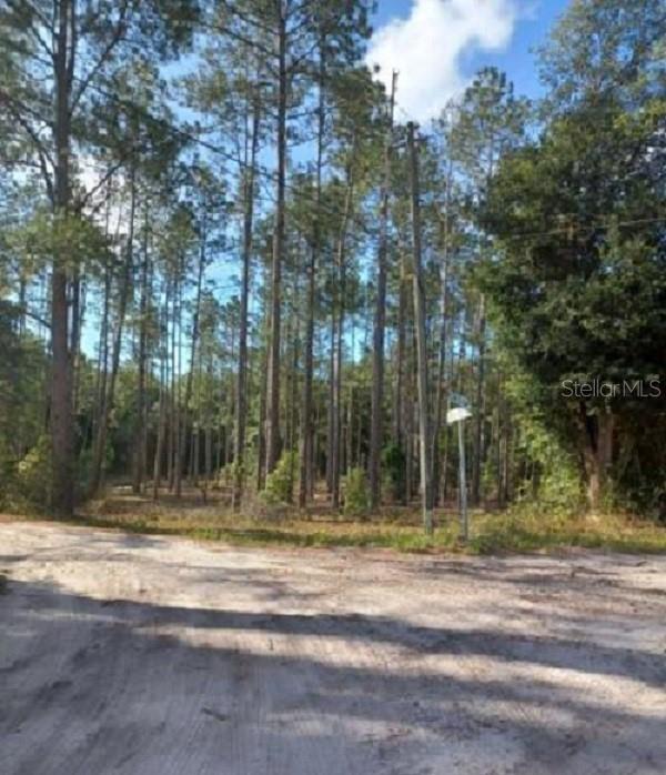 Tbd Corner Sw95 Ave\Sw 158 Ln, FL