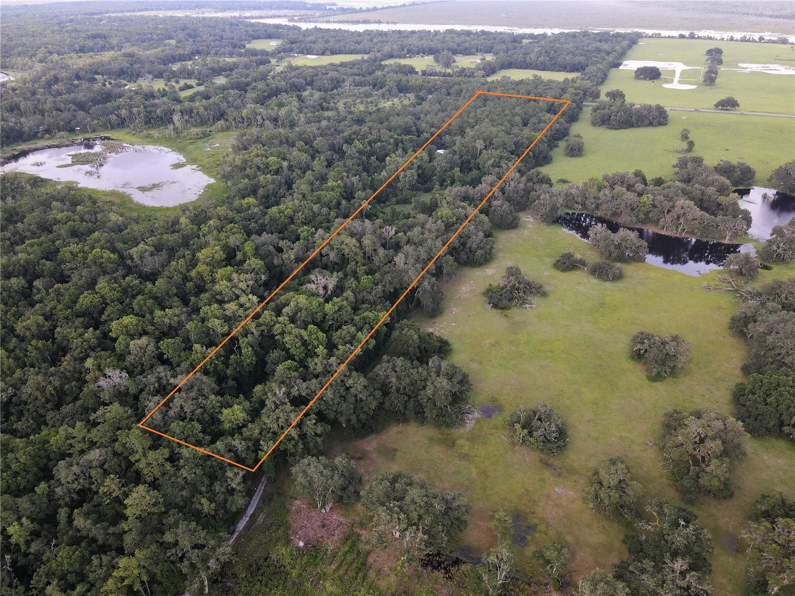 15208 Williston Rd, FL