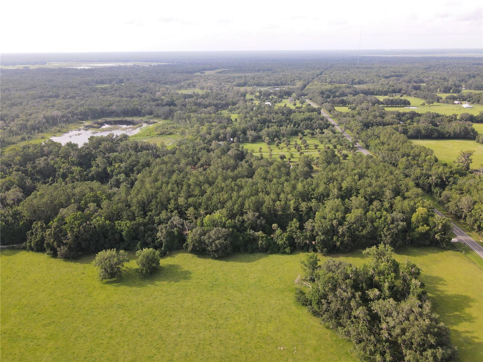15208 Williston Rd, FL